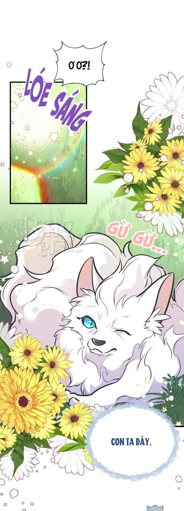 Chị Tôi Đã Nhặt Về Nhà Một Nam Chính Quyến Rũ Chapter 51 - 36