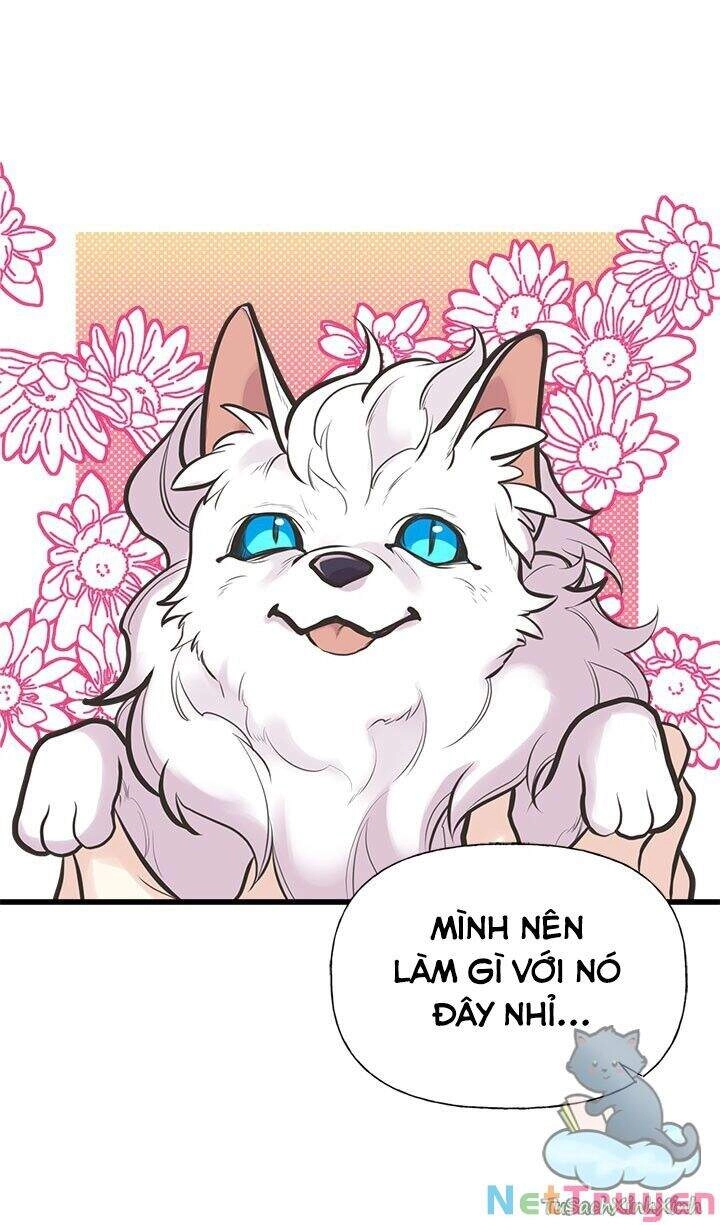 Chị Tôi Đã Nhặt Về Nhà Một Nam Chính Quyến Rũ Chapter 52 - 3