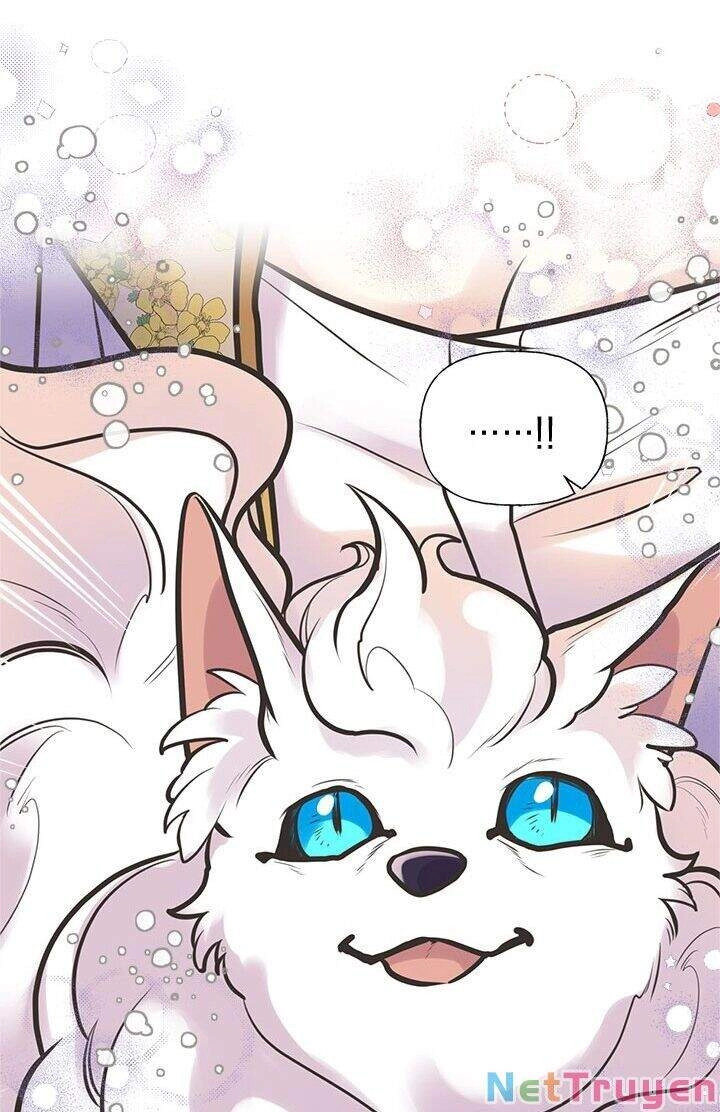 Chị Tôi Đã Nhặt Về Nhà Một Nam Chính Quyến Rũ Chapter 52 - 22