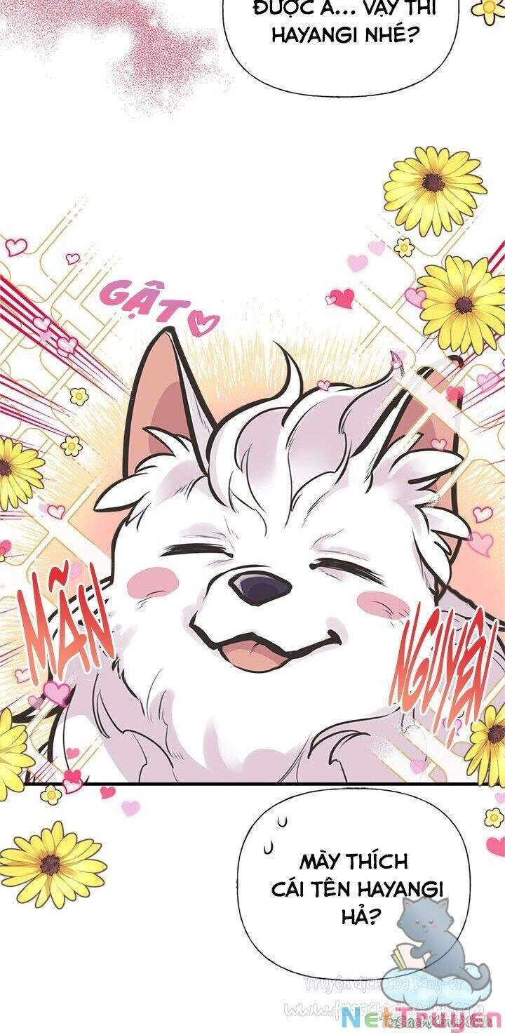 Chị Tôi Đã Nhặt Về Nhà Một Nam Chính Quyến Rũ Chapter 52 - 31