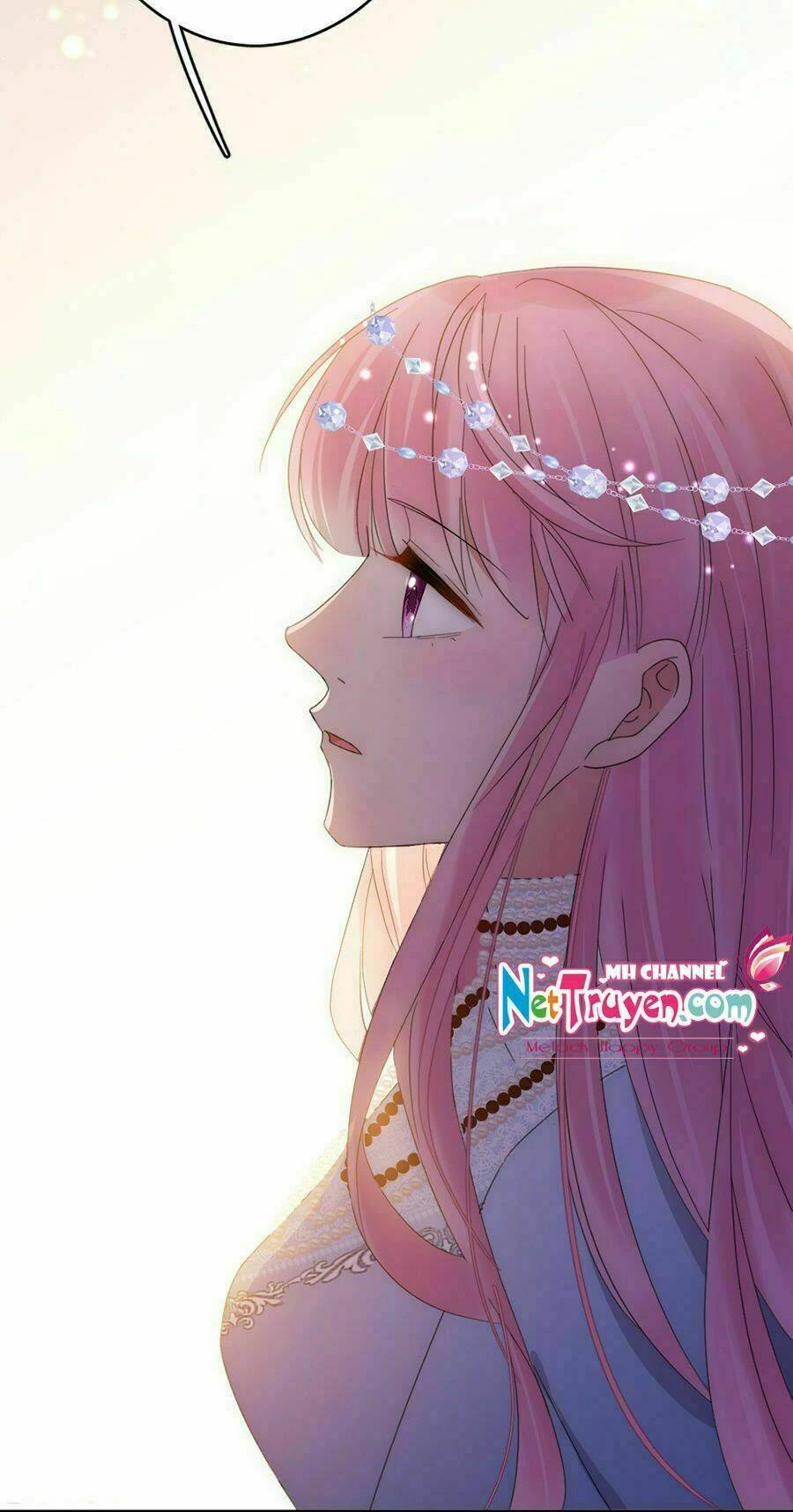 Hoàn Mỹ Lão Công Tiến Hóa Luân Chapter  101 - 26