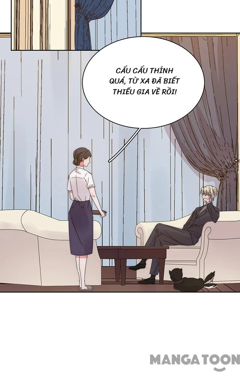 Hoàn Mỹ Lão Công Tiến Hóa Luân Chapter 151 - 22