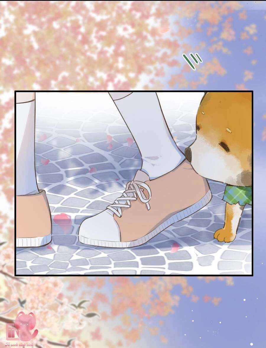 Ánh Sao Phiêu Linh Trong Nước Chapter 37 - 24