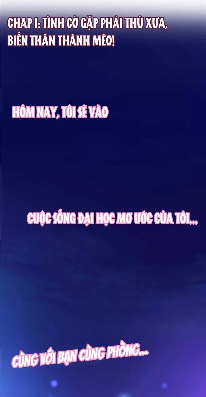 Trong Định Mệnh Có Anh Ấy Chapter 1 - 3