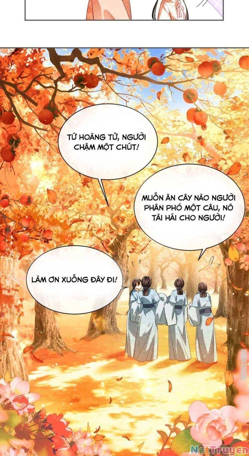 Mãn Cấp Trà Xanh Xuyên Không Thành Tiểu Đáng Thương Chapter 3 - 21