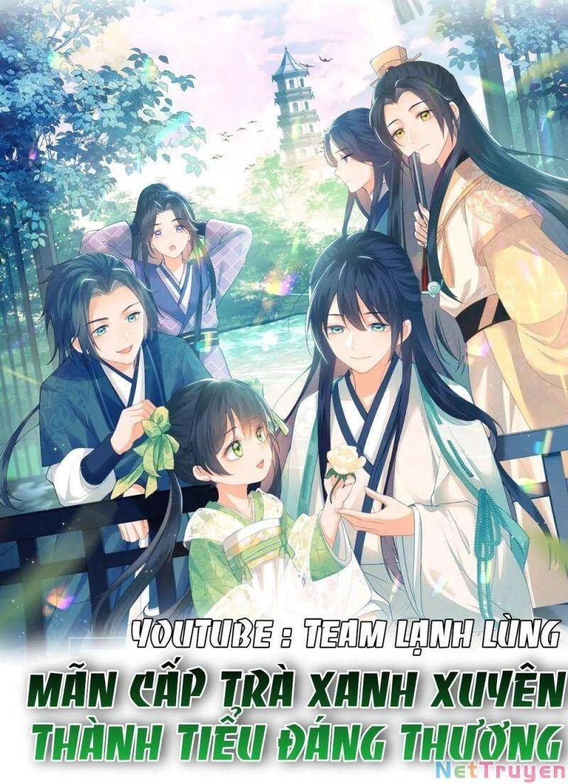 Mãn Cấp Trà Xanh Xuyên Không Thành Tiểu Đáng Thương Chapter 17 - 1