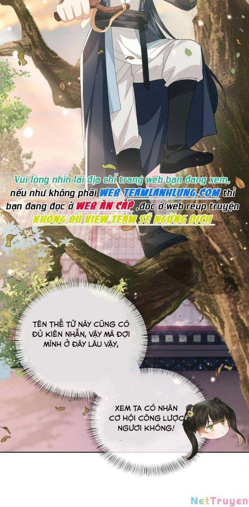 Mãn Cấp Trà Xanh Xuyên Không Thành Tiểu Đáng Thương Chapter 17 - 37