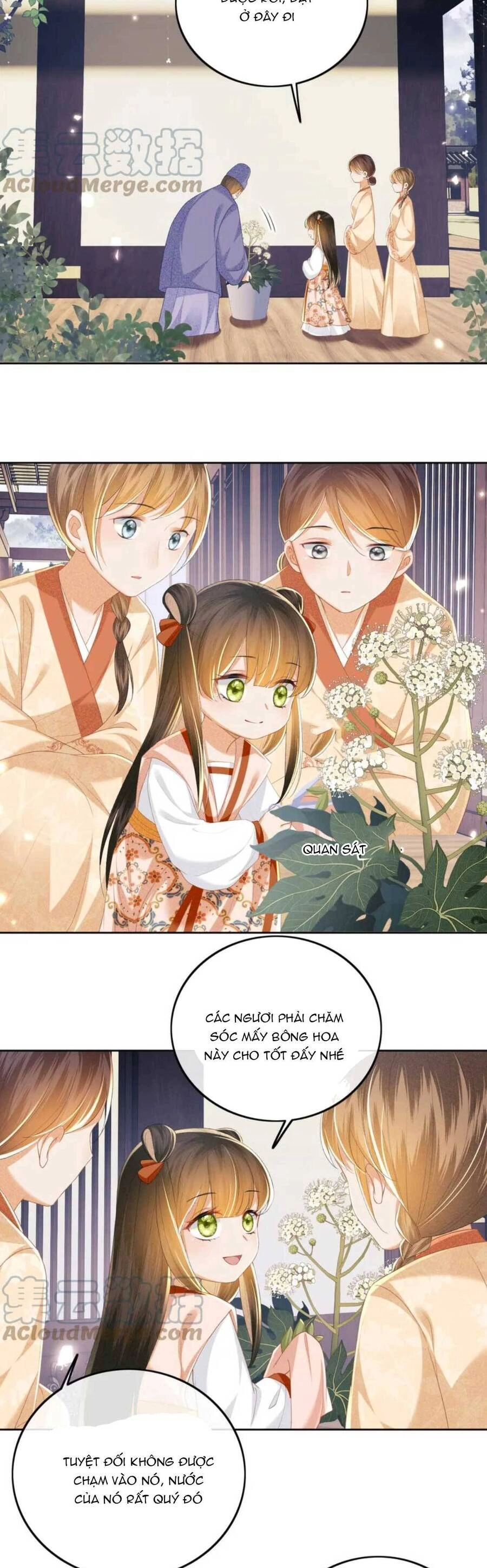 Mãn Cấp Trà Xanh Xuyên Không Thành Tiểu Đáng Thương Chapter 55 - 12