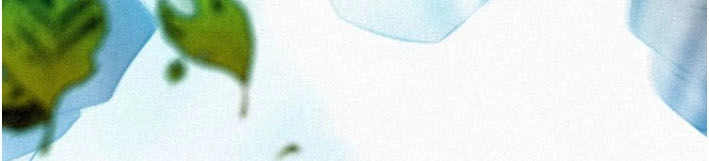 Thánh Võ Tinh Thần Chapter 46.5 - 21