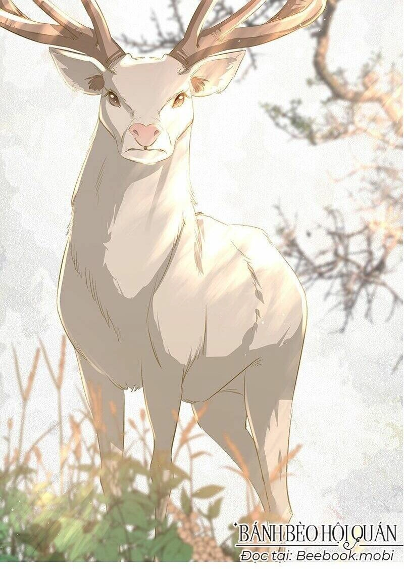 Báo Cáo Bạo Quân , Phi Tần Là Tổ Tông Của Người Chapter 29 - 41