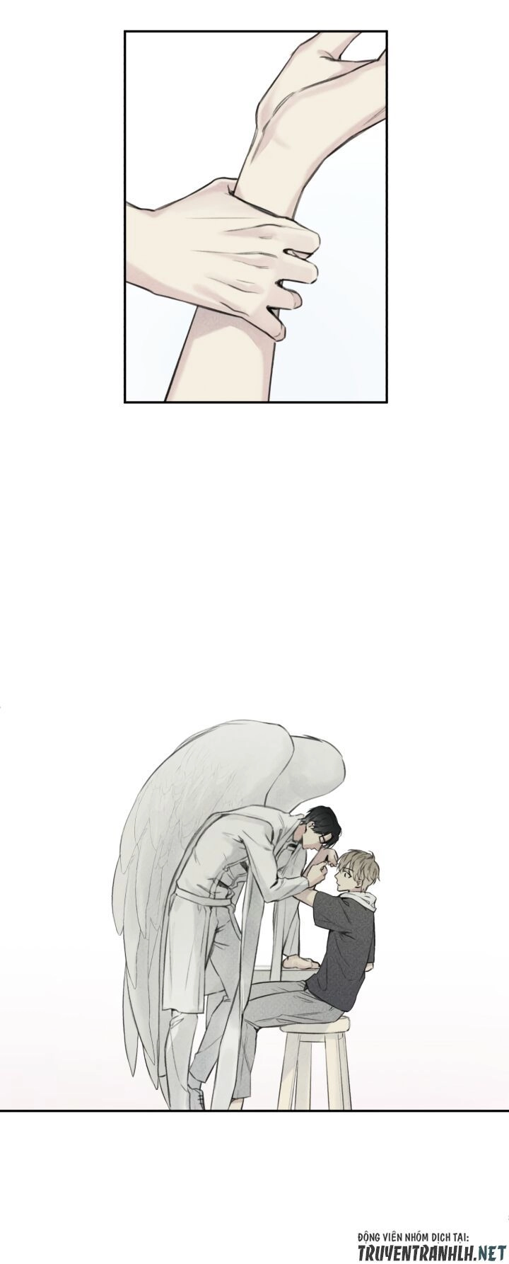 Angel Buddy Chapter 4 - 13