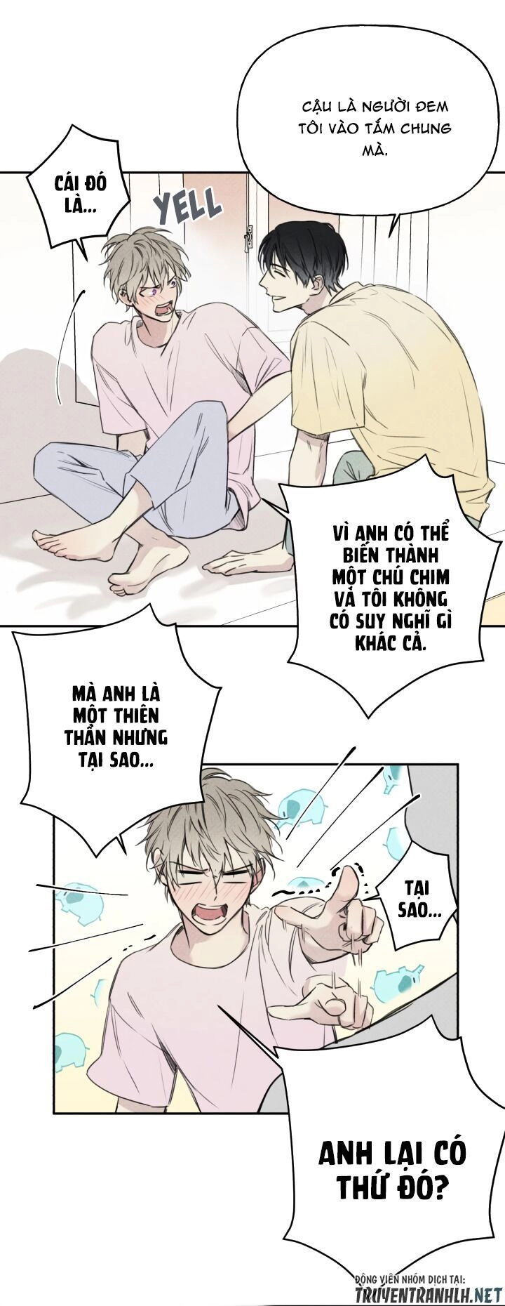 Angel Buddy Chapter 9 - 15