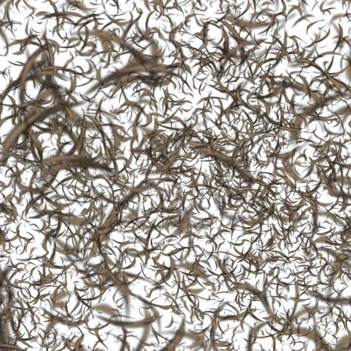 Bắc Kiếm Giang Hồ Chapter 80 - 67