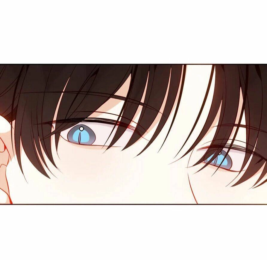 XUYÊN VÀO THẾ GIỚI GIẢ TƯỞNG Chapter 66 - 7