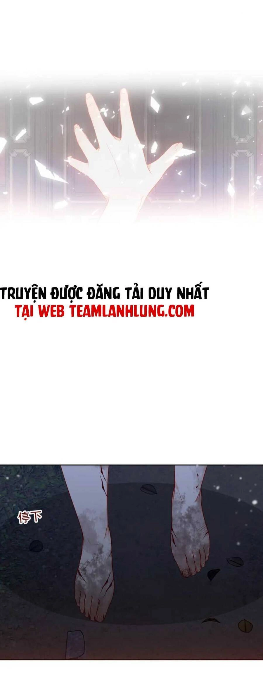 XUYÊN VÀO THẾ GIỚI GIẢ TƯỞNG Chapter 10 - 10