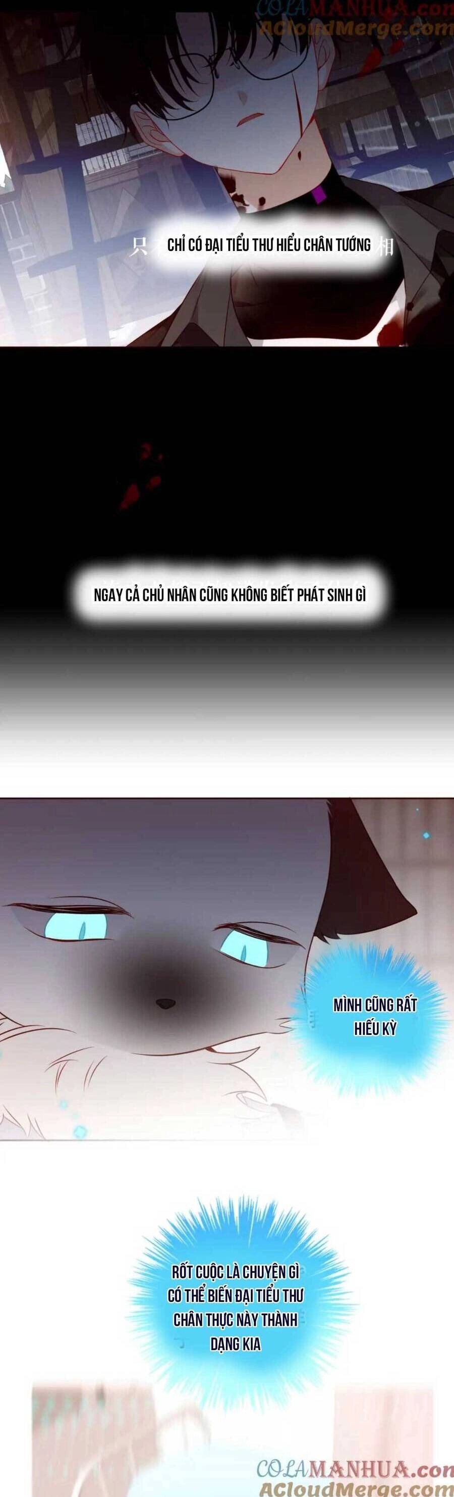 XUYÊN VÀO THẾ GIỚI GIẢ TƯỞNG Chapter 41 - 15