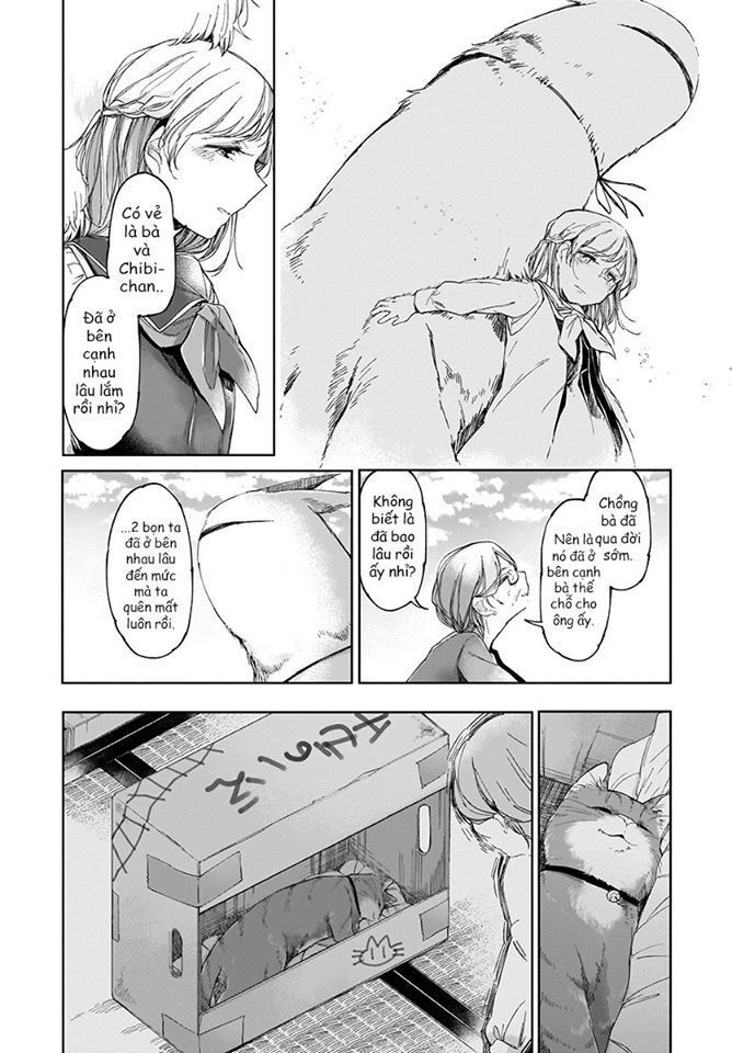 Dear Noman Chapter 3 - 12