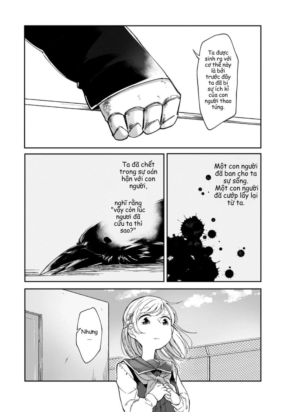 Dear Noman Chapter 7 - 9