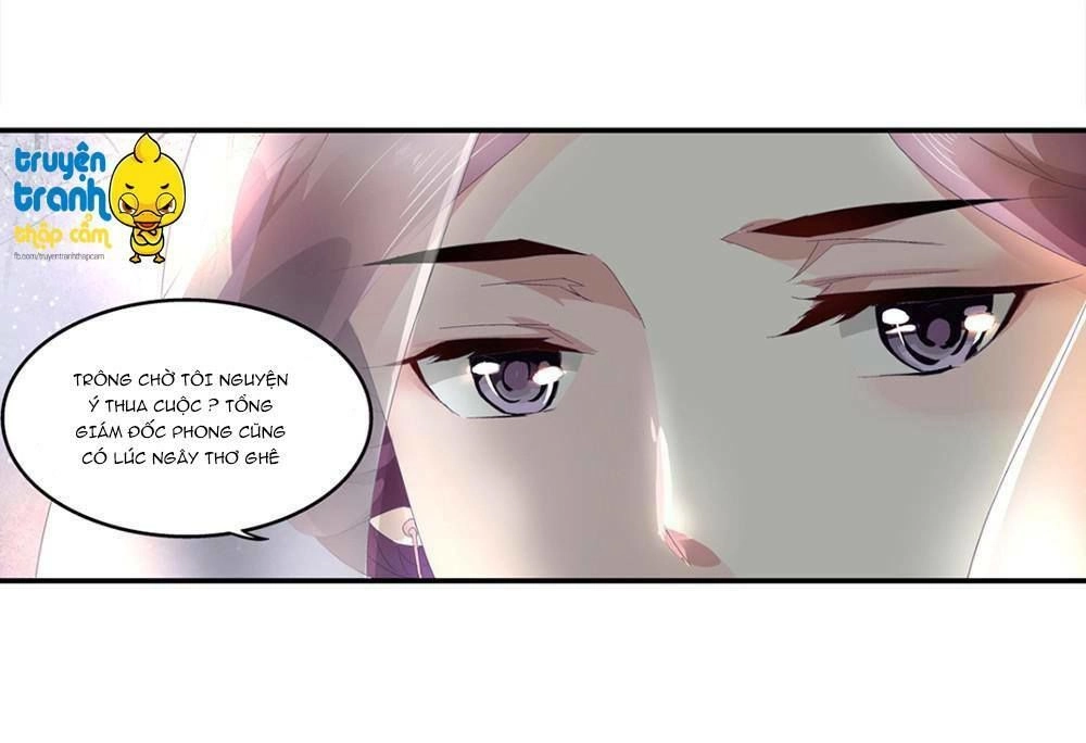 Cường Sủng Hào Môn Tiểu Manh Thê Chapter 2 - 8