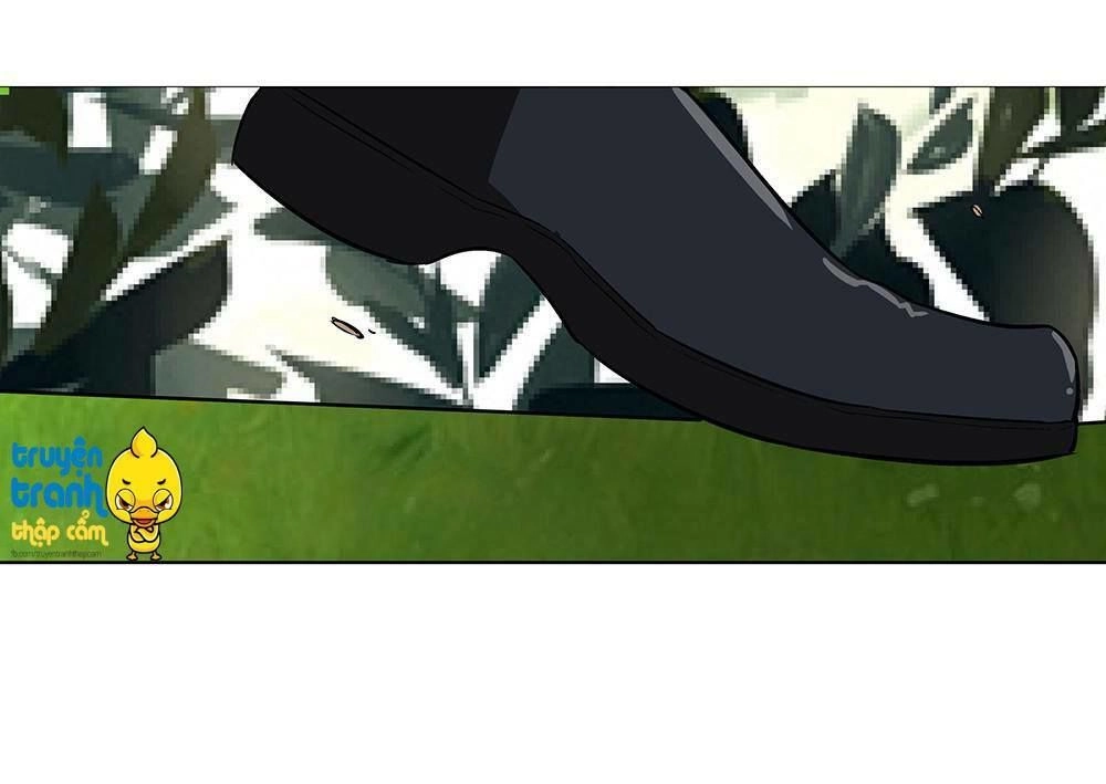 Cường Sủng Hào Môn Tiểu Manh Thê Chapter 4 - 7