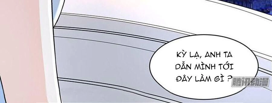 Cường Sủng Hào Môn Tiểu Manh Thê Chapter 17 - 25