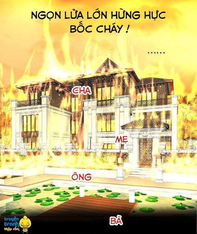 Cường Sủng Hào Môn Tiểu Manh Thê Chapter 51 - 15