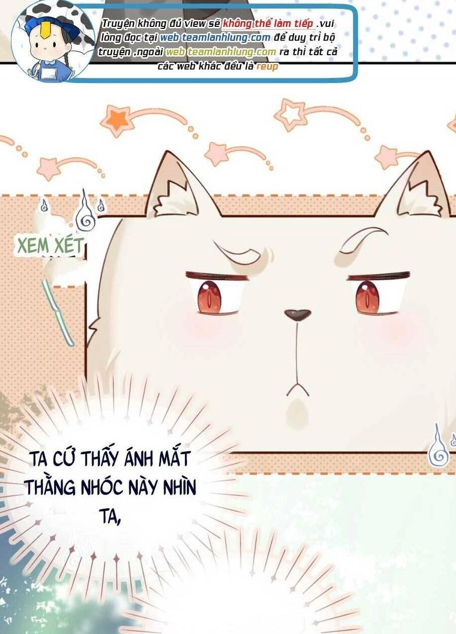 Hoá Trang Thành Mami Của Nhân Vật Phản Diện Chapter 9 - 16