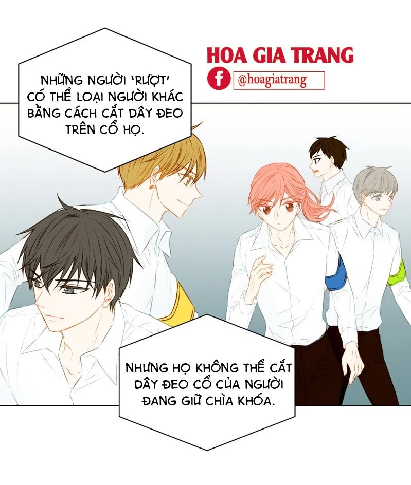 Sao Chép Chapter 61 - 22