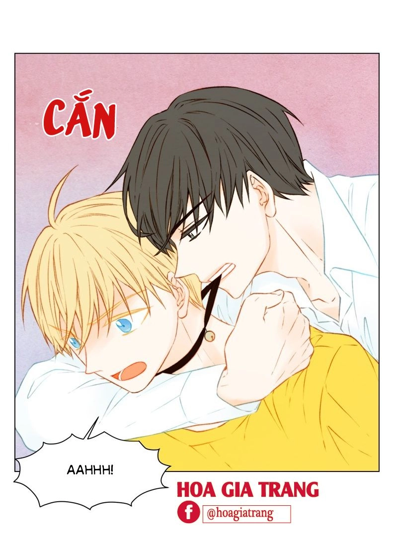 Sao Chép Chapter 61 - 47