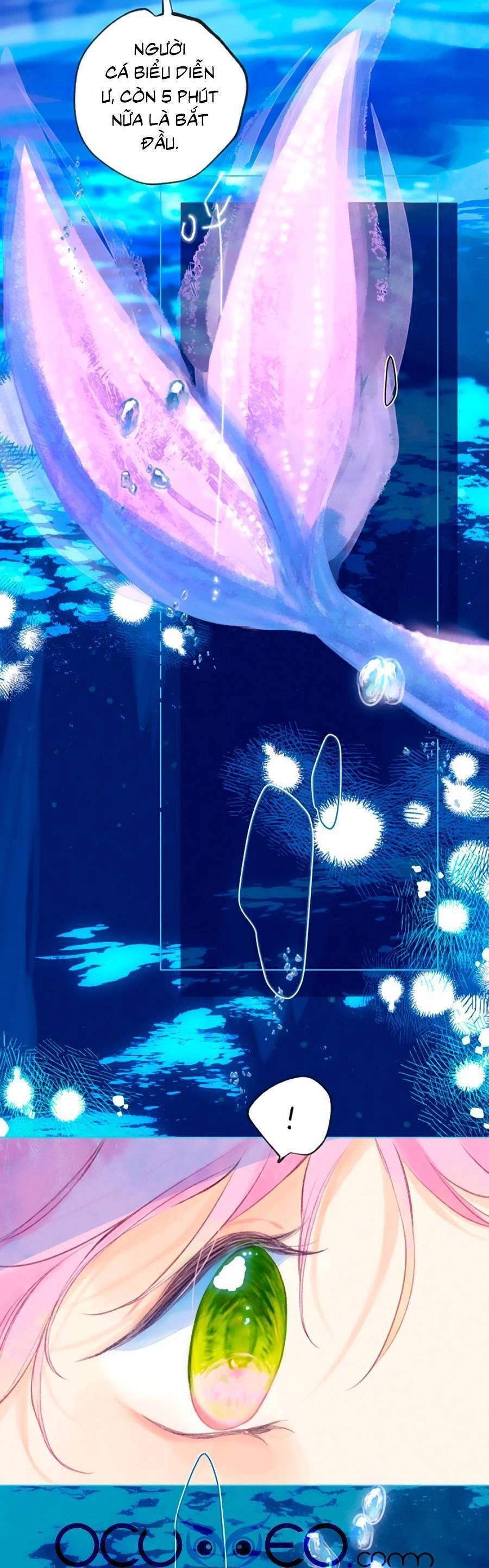 Bạn Gái Tôi Ấm Áp Tựa Như Xương Rồng Nở Hoa Chapter 15 - 4