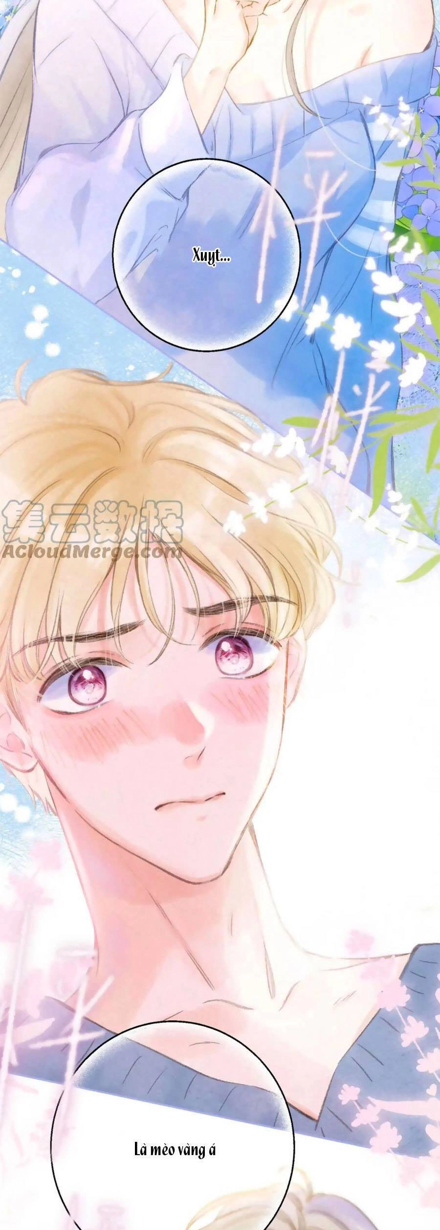 Bạn Gái Tôi Ấm Áp Tựa Như Xương Rồng Nở Hoa Chapter 23 - 25