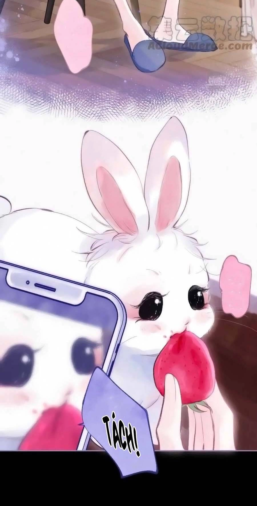 Bạn Gái Tôi Ấm Áp Tựa Như Xương Rồng Nở Hoa Chapter 27 - 7