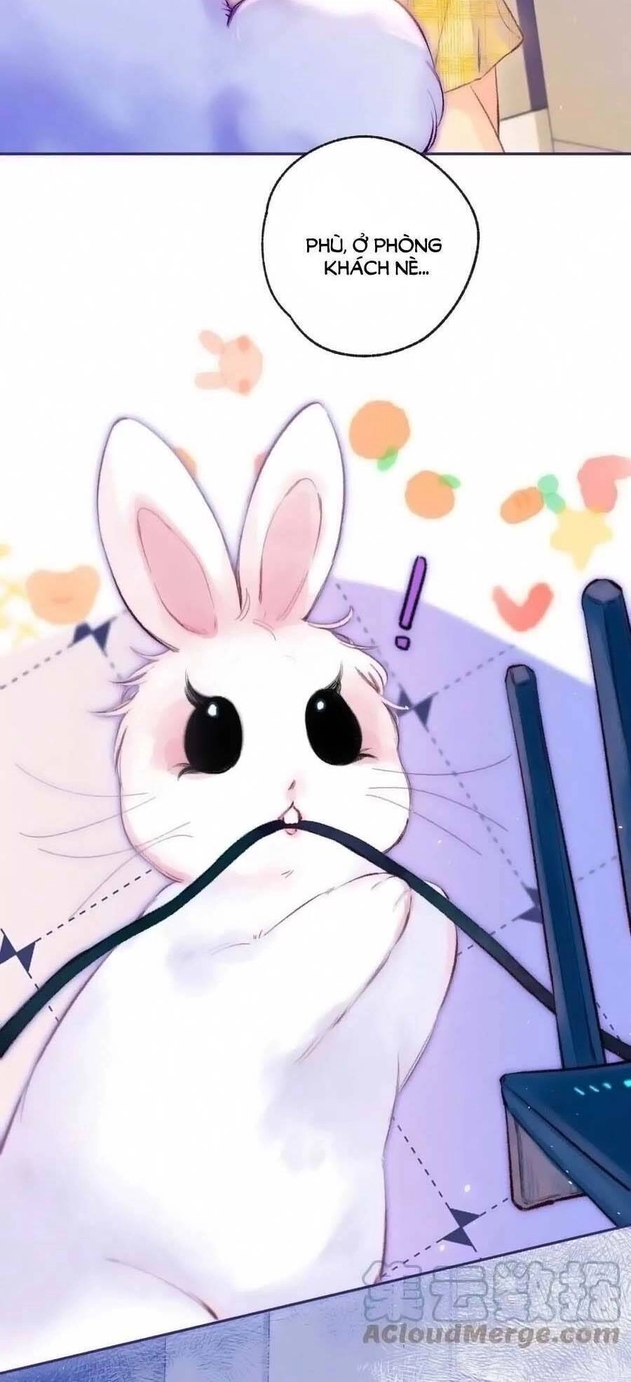 Bạn Gái Tôi Ấm Áp Tựa Như Xương Rồng Nở Hoa Chapter 27 - 40