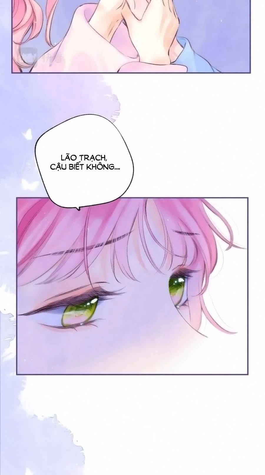 Bạn Gái Tôi Ấm Áp Tựa Như Xương Rồng Nở Hoa Chapter 33 - 8