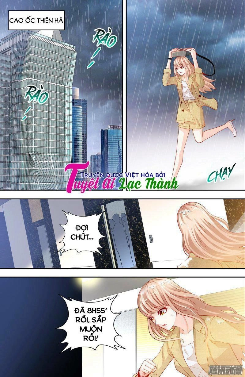 Cô Bé Ngây Thơ Đừng Hòng Trốn Chapter 5 - 8