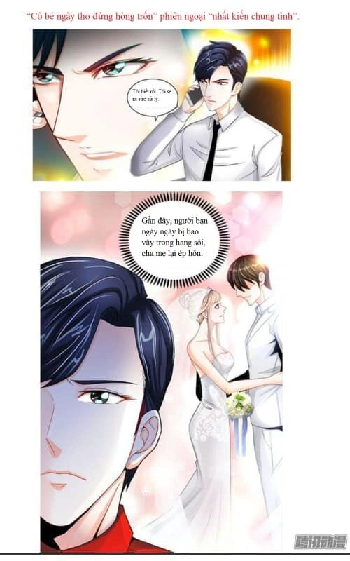 Cô Bé Ngây Thơ Đừng Hòng Trốn Chapter 27 - 10