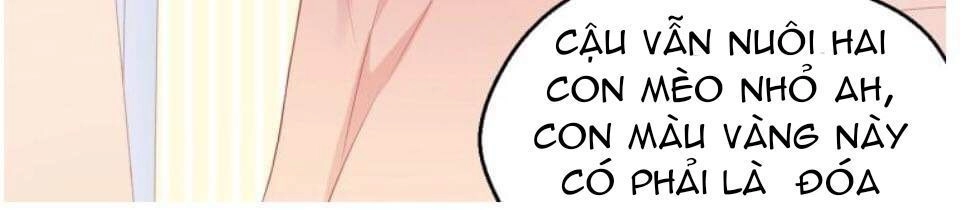 Bên Anh Mới Là Cả Thế Giới Chapter 3 - 11