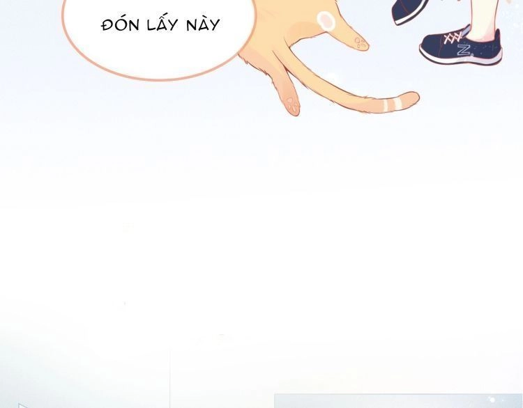 Bên Anh Mới Là Cả Thế Giới Chapter 5 - 10