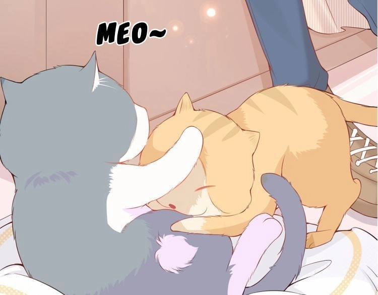 Bên Anh Mới Là Cả Thế Giới Chapter 5 - 30