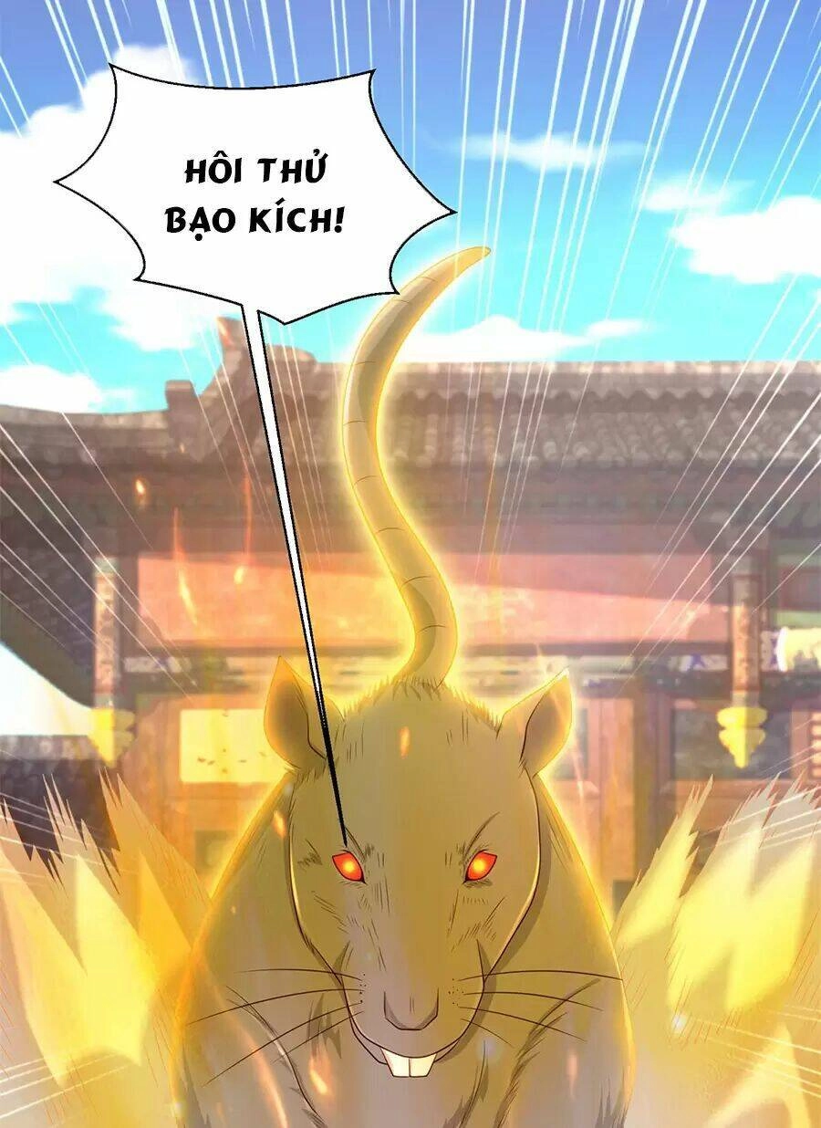 Người Ở Rể Bị Ép Thành Phản Diện Chapter 494 - 51