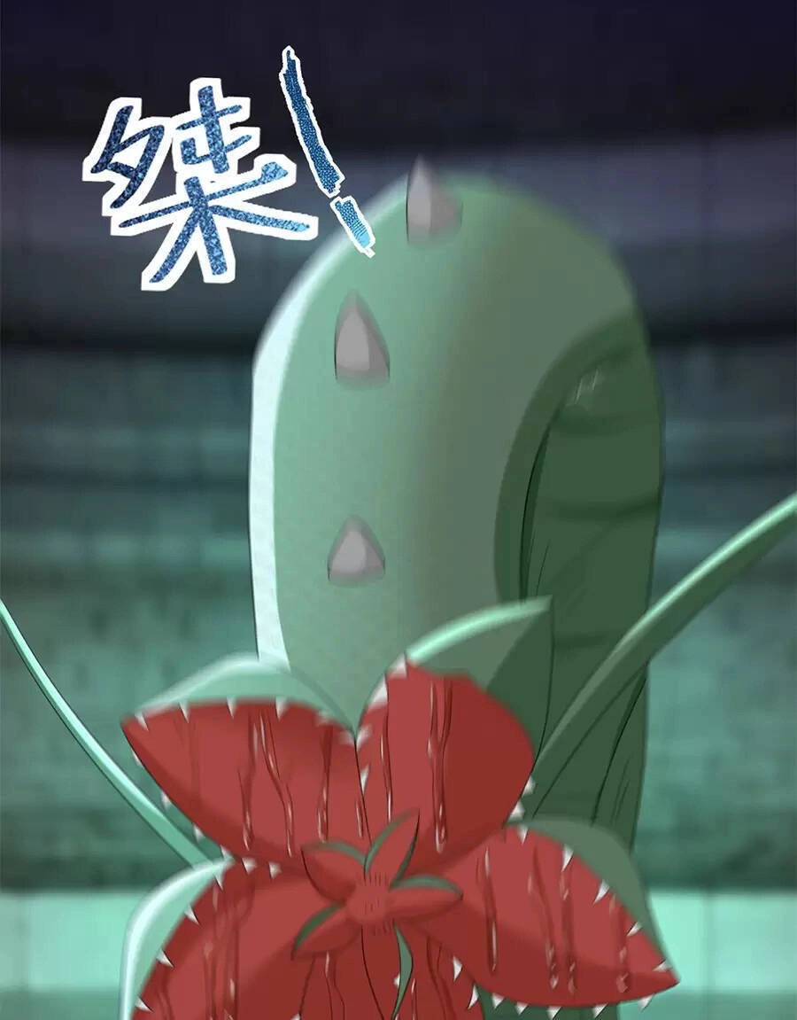 Người Ở Rể Bị Ép Thành Phản Diện Chapter 504 - 30