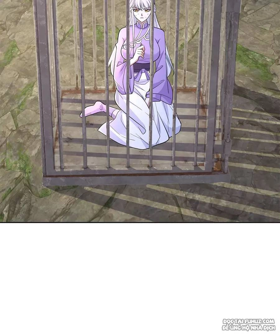 Người Ở Rể Bị Ép Thành Phản Diện Chapter 526 - 25