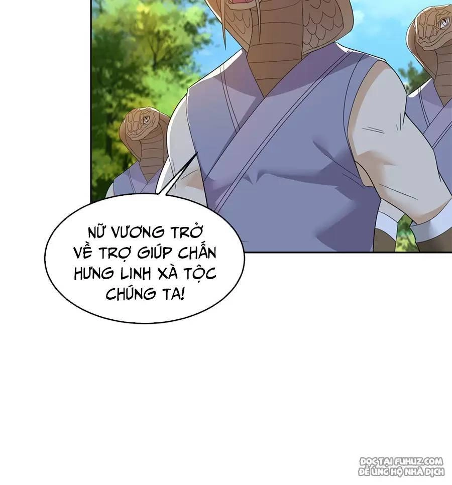 Người Ở Rể Bị Ép Thành Phản Diện Chapter 528.1 - 20