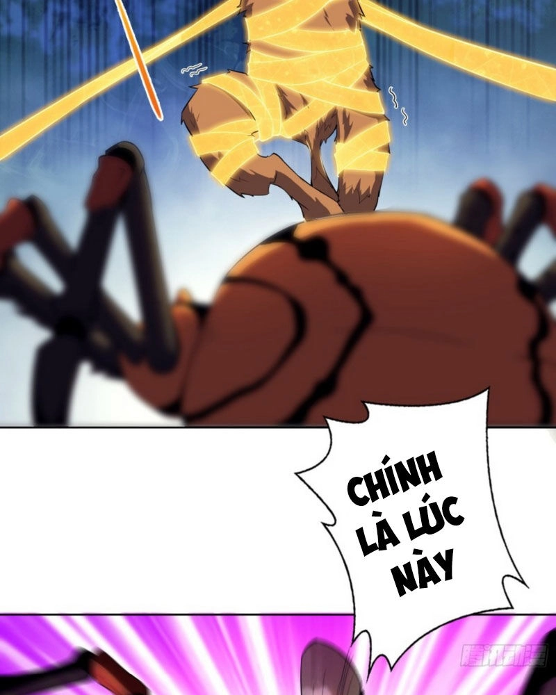 Người Ở Rể Bị Ép Thành Phản Diện Chapter 22 - 33