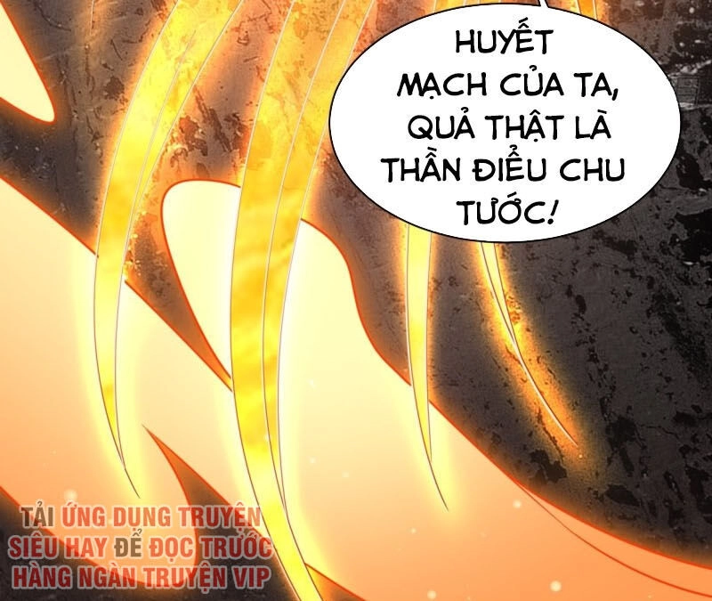 Người Ở Rể Bị Ép Thành Phản Diện Chapter 60 - 13