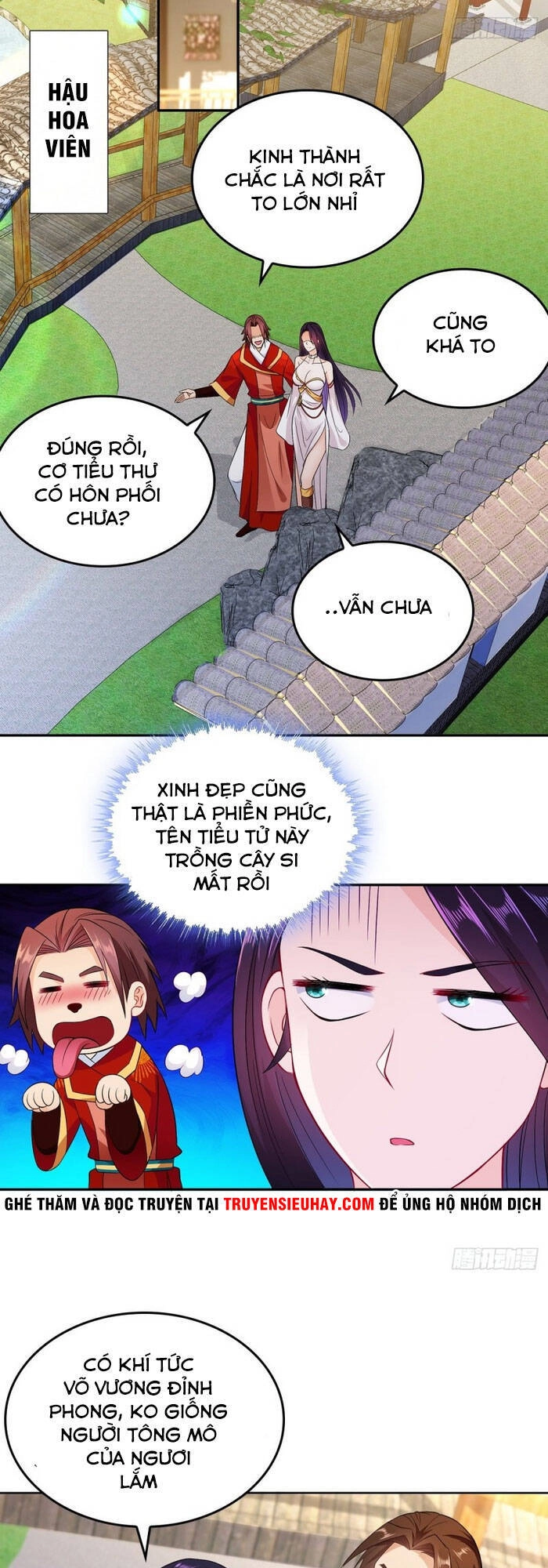 Người Ở Rể Bị Ép Thành Phản Diện Chapter 76 - 13