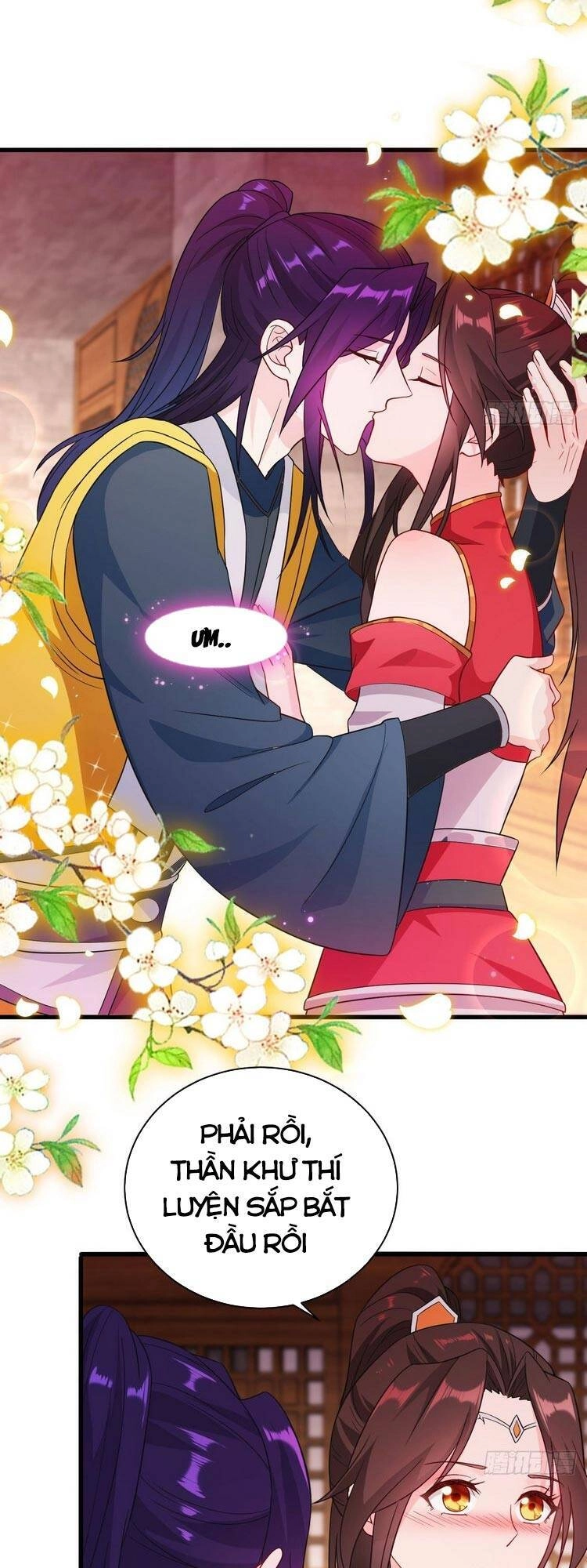 Người Ở Rể Bị Ép Thành Phản Diện Chapter 142 - 7