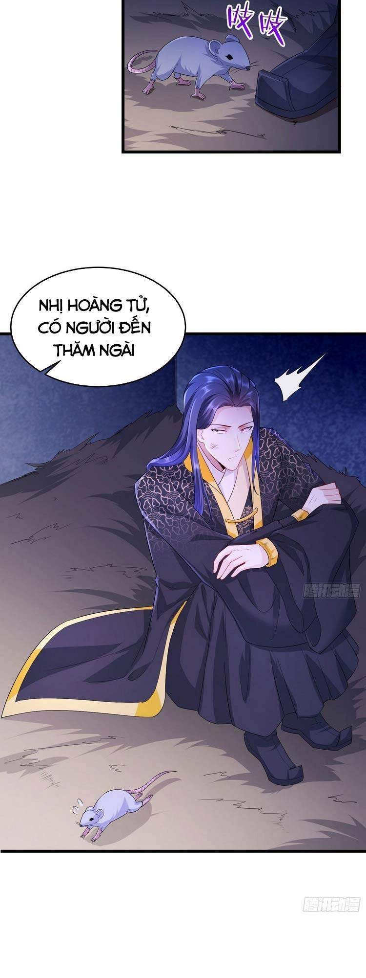 Người Ở Rể Bị Ép Thành Phản Diện Chapter 148 - 15