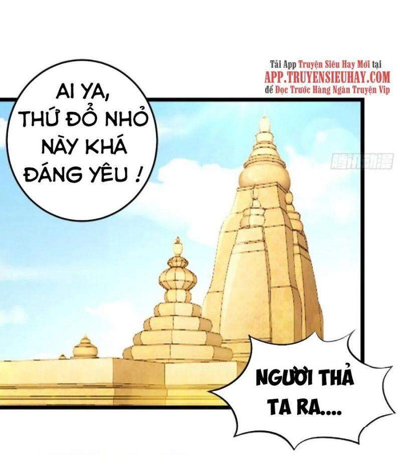 Người Ở Rể Bị Ép Thành Phản Diện Chapter 201 - 17