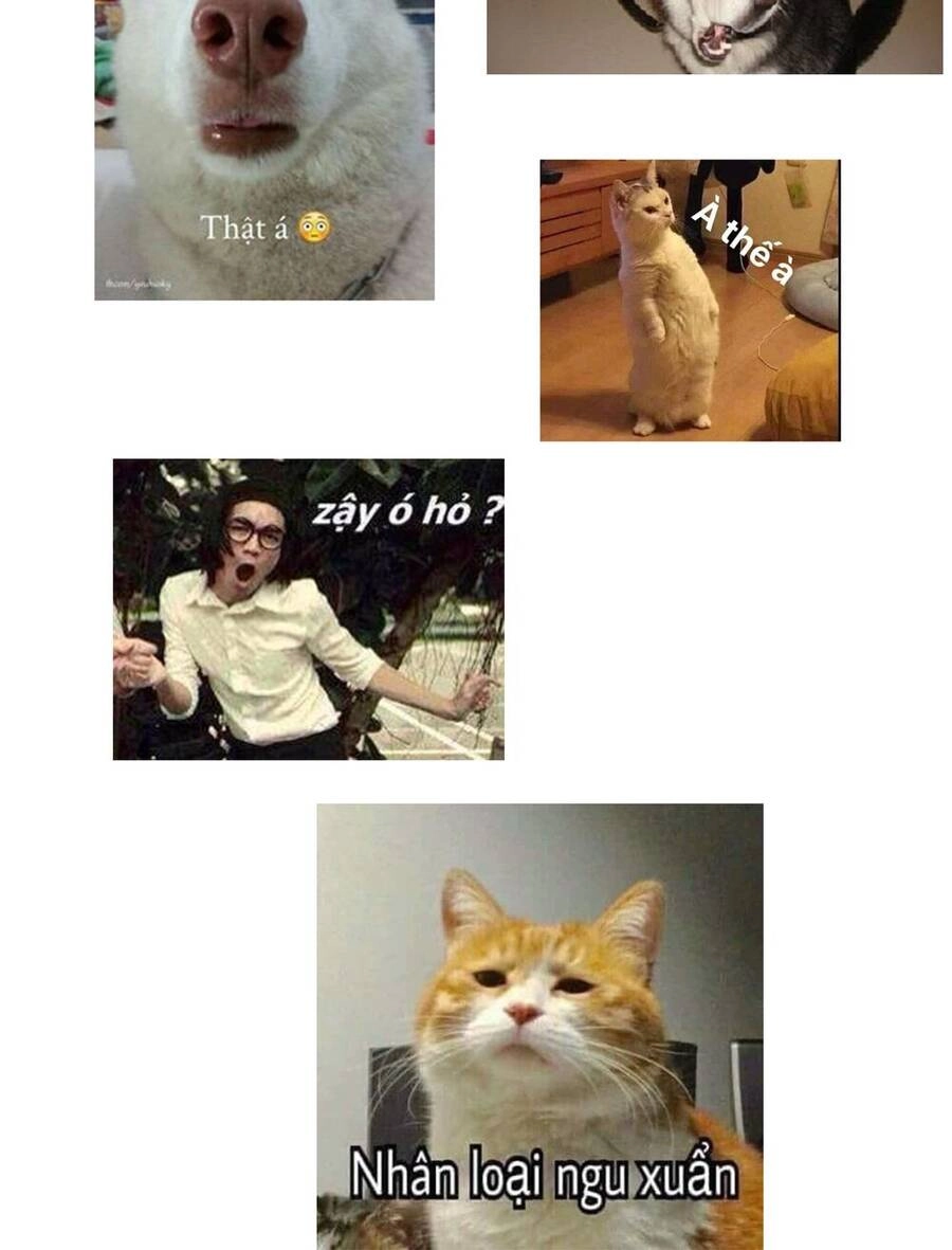 Người Ở Rể Bị Ép Thành Phản Diện Chapter 267 - 44